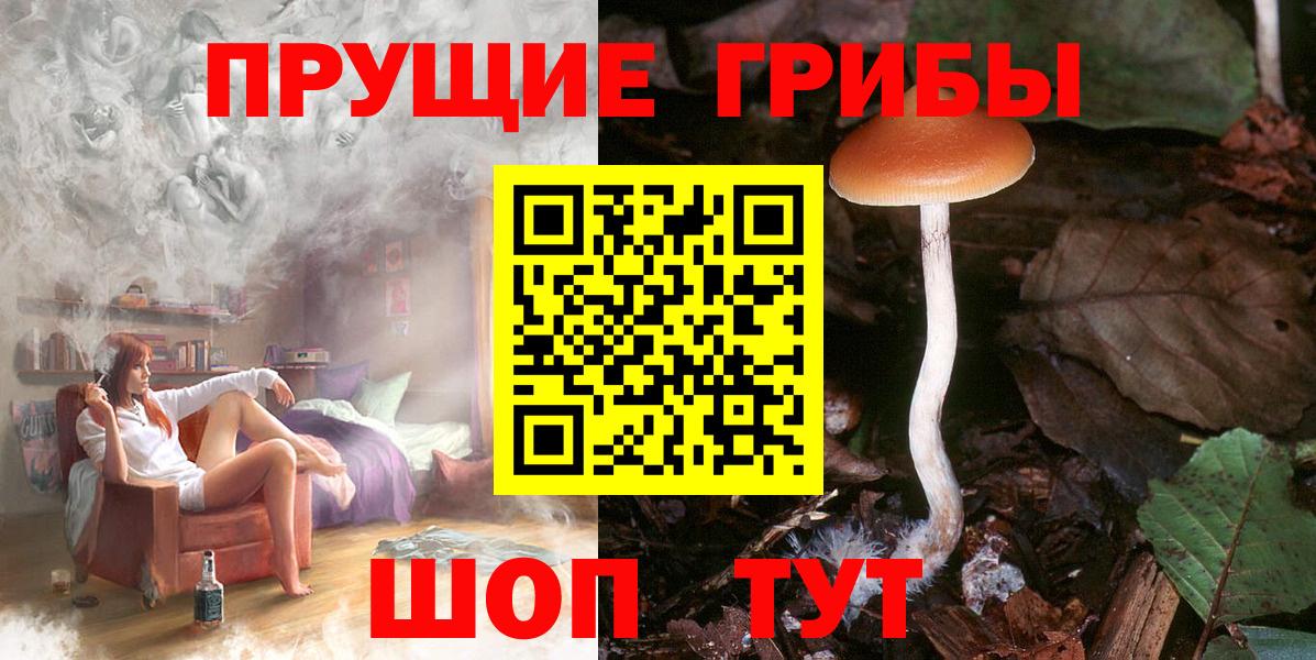 Россошь  Псилоцибиновые грибы мицелий  даркнет сайт  Вход с VPN  Псилоцибиновые грибы прущие грибы 
