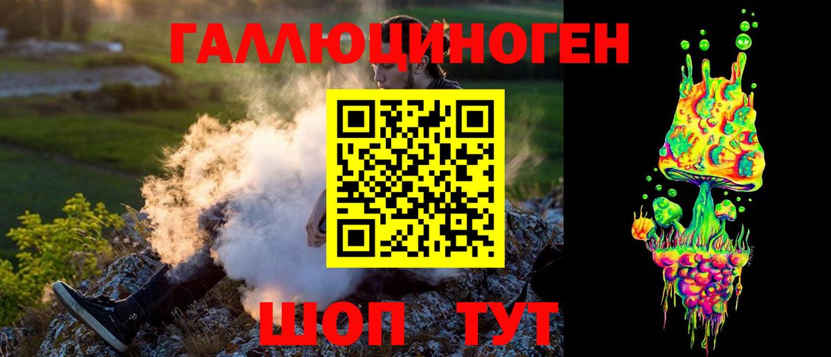 Галлюциногенные грибы Psilocybe Россошь